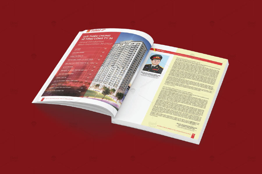 Thiết kế Profile Tổng công ty 36