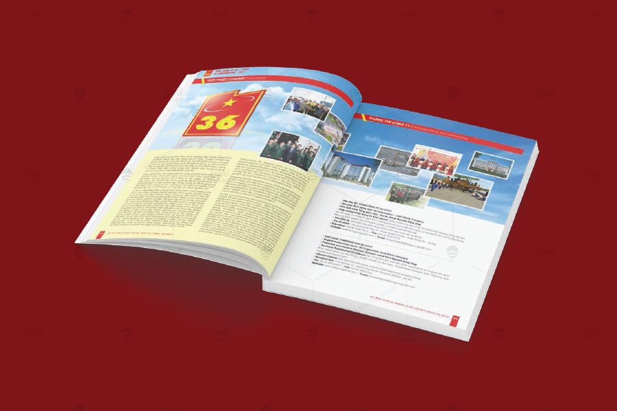 Thiết kế Profile Tổng công ty 36