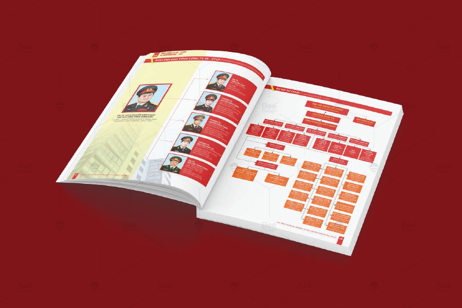 Thiết kế Profile Tổng công ty 36