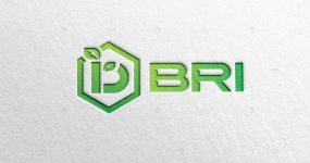 Thiết kế logo nhận diện thương hiệu BRI