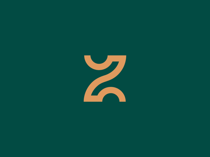 Z вид. Логотип Letter. Z. Тематика z. Z logo Design.