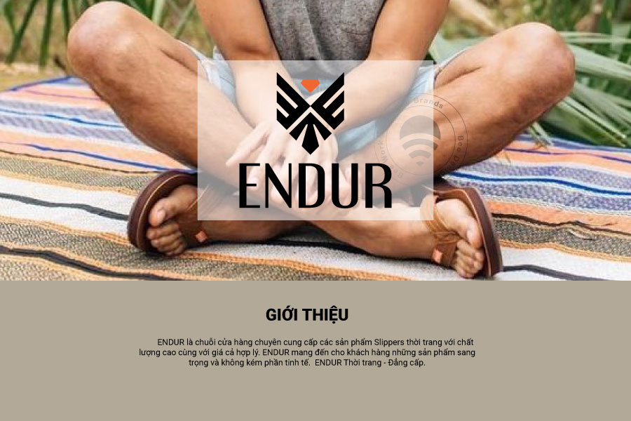 Dự án Thiết kế logo thương hiệu thời trang Endur