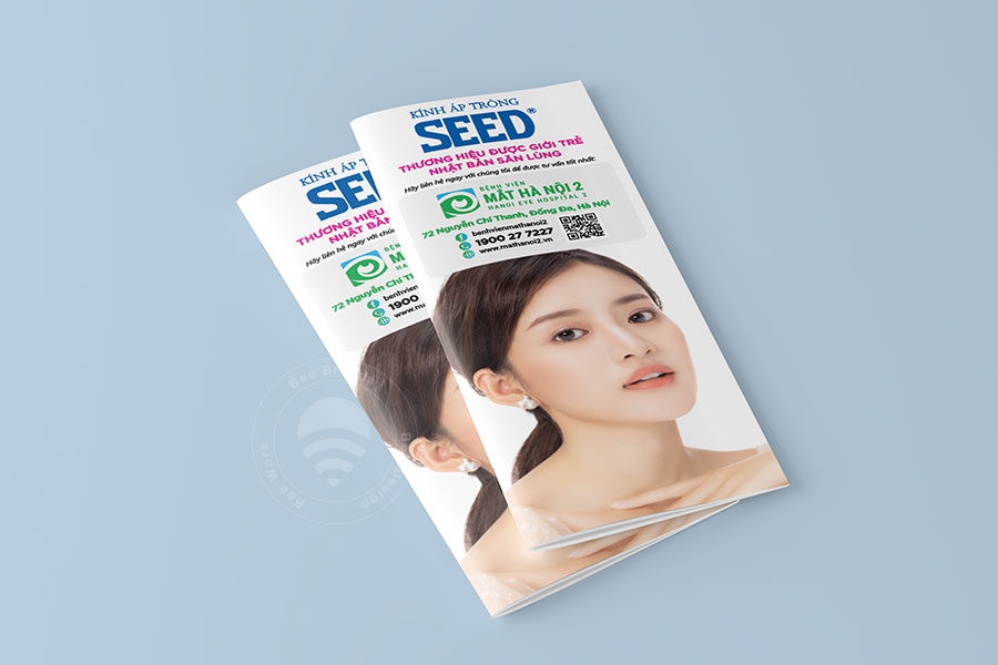 Thiết kế brochure Seed Viet Nam